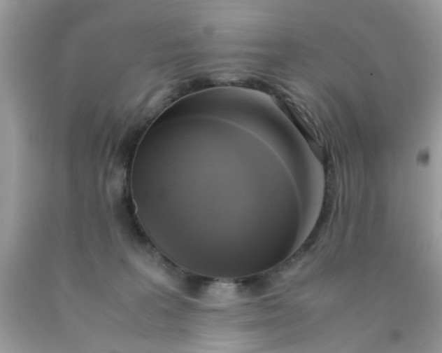 X0000090410227200707272056