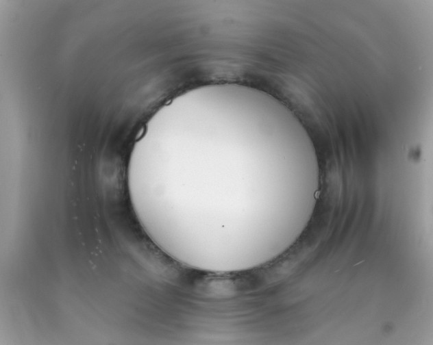 X0000090410228200707272056