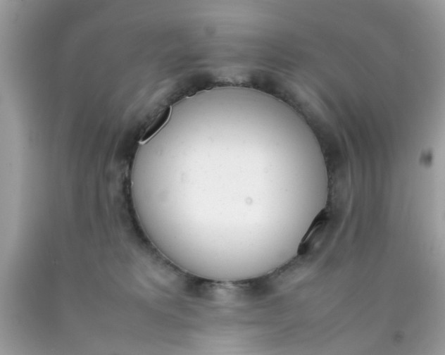 X0000090410229200707272056