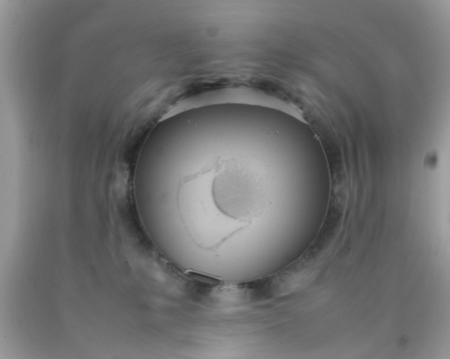 X0000090410231200707272056
