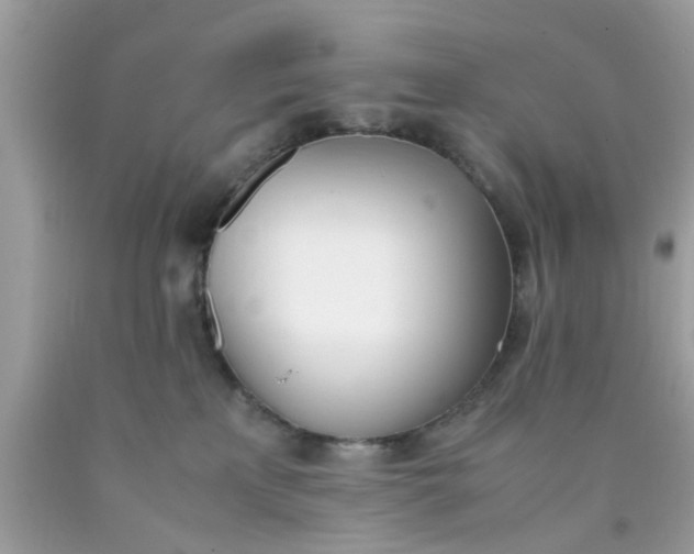 X0000090410233200707272056