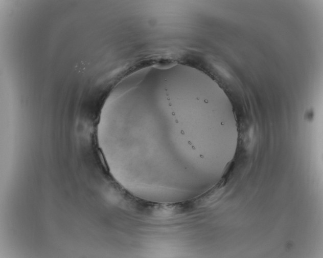 X0000090410235200707272056