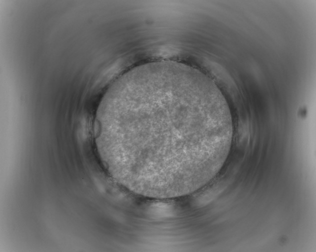 X0000090410236200707272056