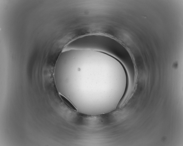 X0000090410237200707272056