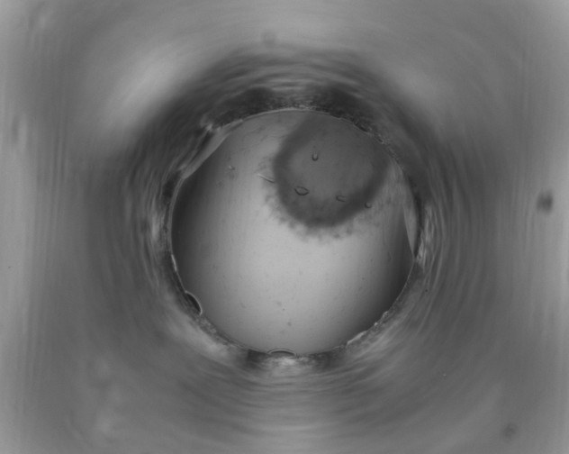 X0000090410239200707272056