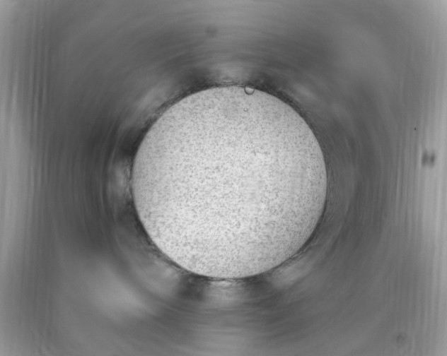 X0000090410240200707272056