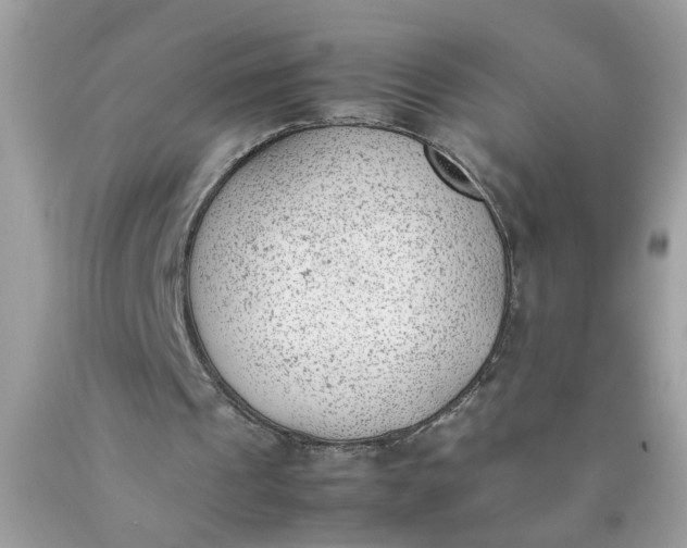 X0000090410241200707272055