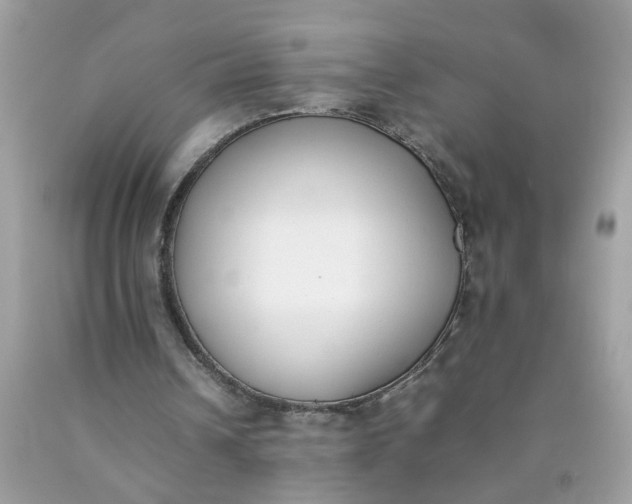 X0000090410242200707272055