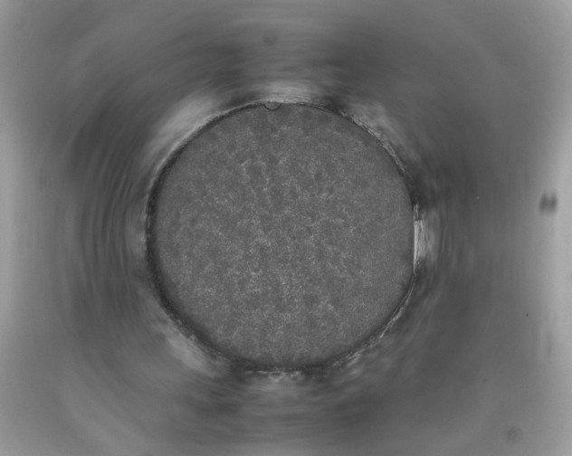 X0000090410243200707272055