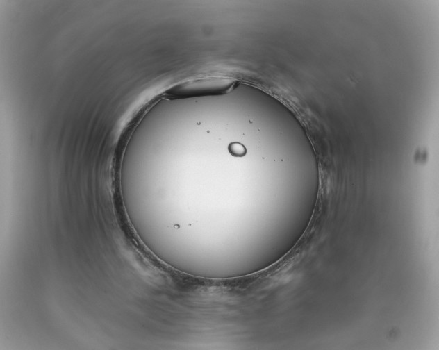 X0000090410244200707272055