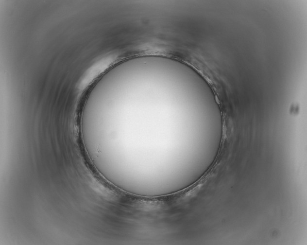X0000090410245200707272055