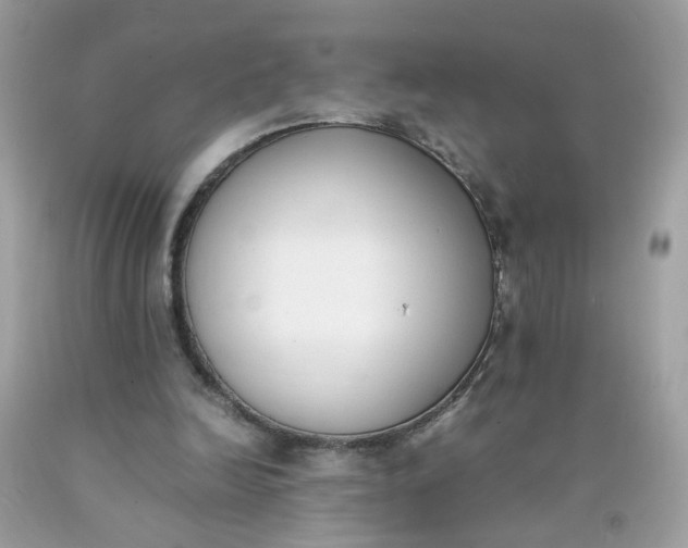 X0000090410246200707272055