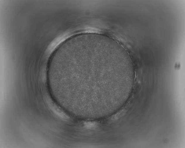 X0000090410247200707272055