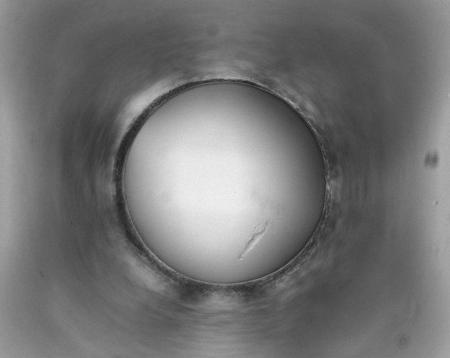 X0000090410248200707272055