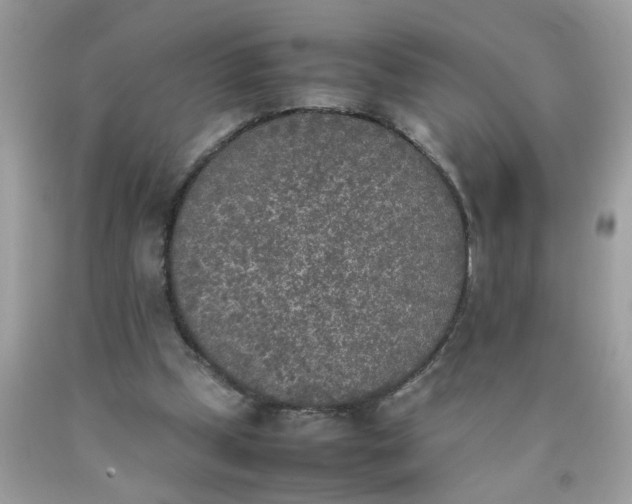X0000090410249200707272055