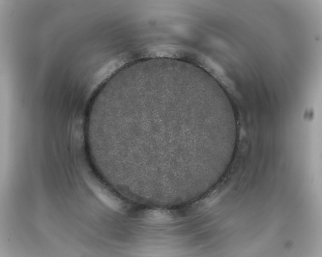 X0000090410250200707272055