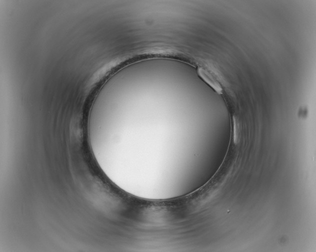 X0000090410252200707272055