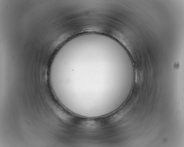 X0000090410253200707272055