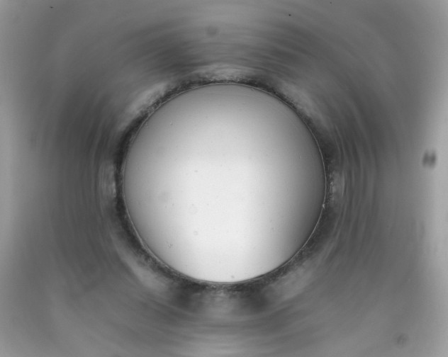 X0000090410254200707272055