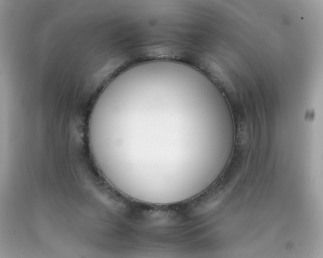 X0000090410255200707272055