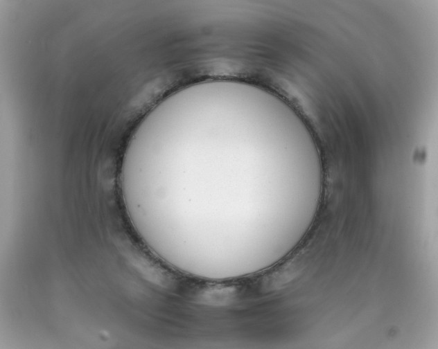 X0000090410257200707272055