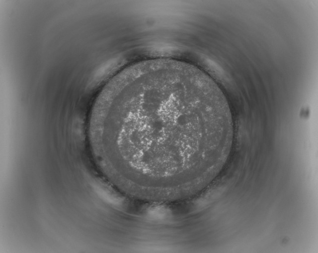 X0000090410258200707272056