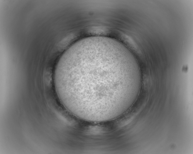 X0000090410259200707272056