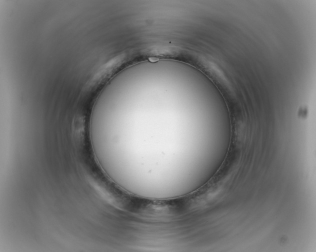X0000090410260200707272056