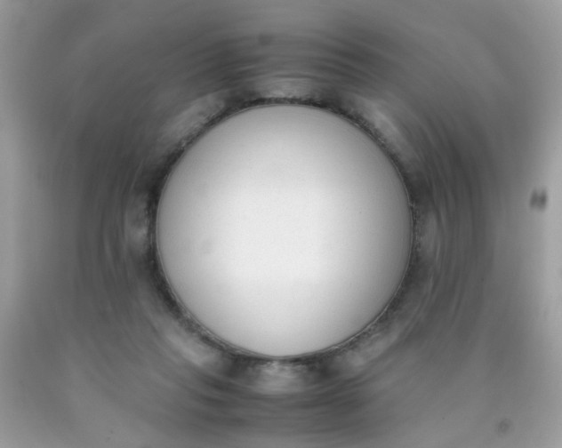 X0000090410261200707272056
