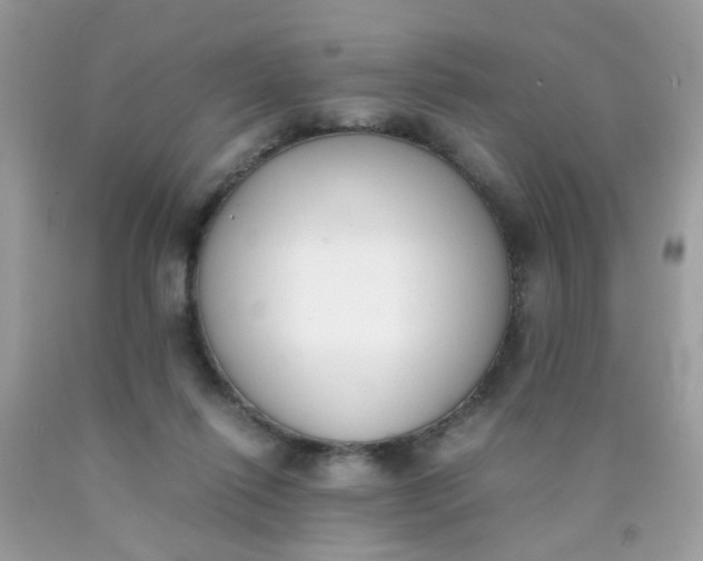 X0000090410262200707272056