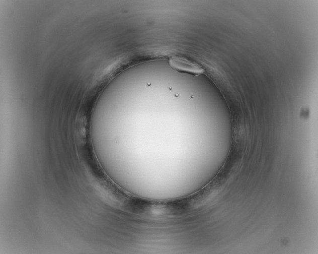 X0000090410264200707272056