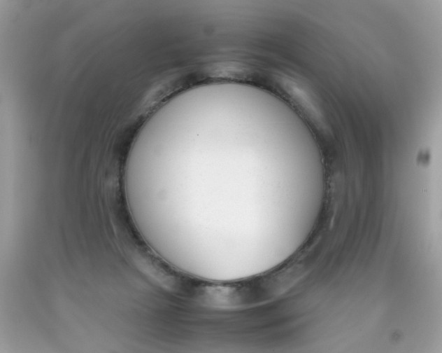 X0000090410265200707272056