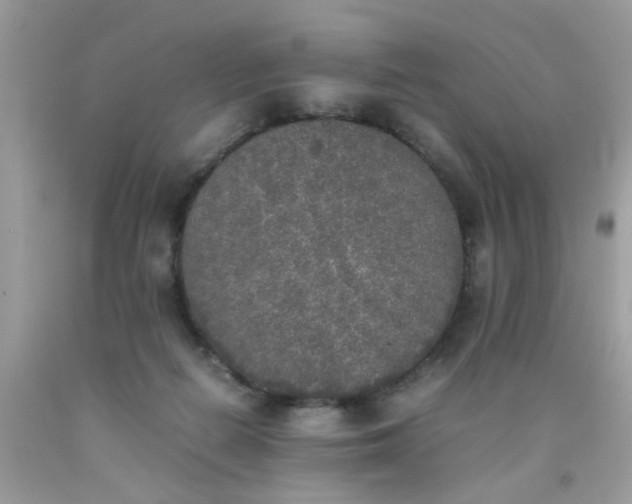 X0000090410266200707272056
