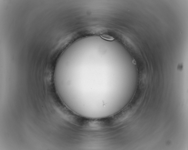 X0000090410268200707272056