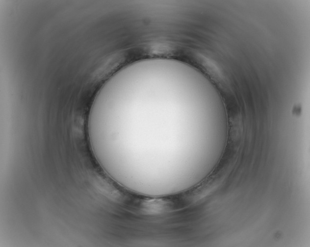 X0000090410269200707272056
