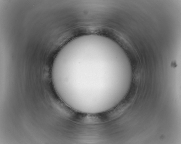 X0000090410270200707272056