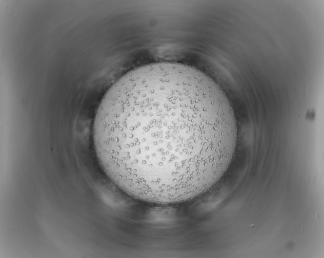 X0000090410271200707272056