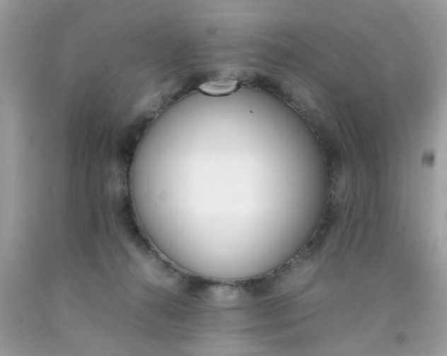 X0000090410272200707272056