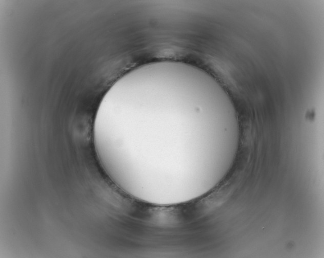 X0000090410273200707272056