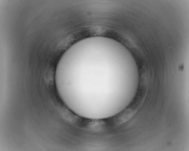 X0000090410274200707272056