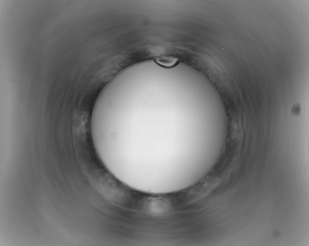 X0000090410275200707272056