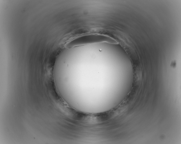 X0000090410276200707272056
