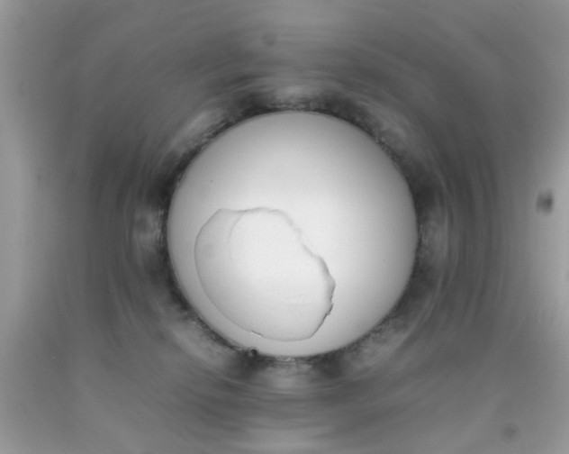X0000090410278200707272056