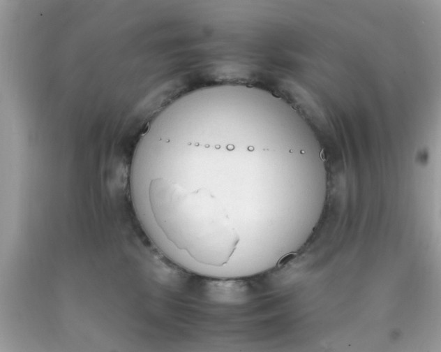 X0000090410281200707272056