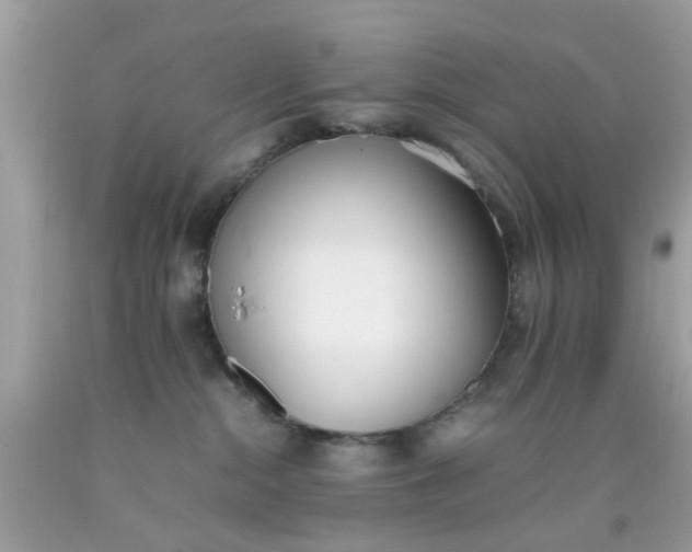 X0000090410284200707272056