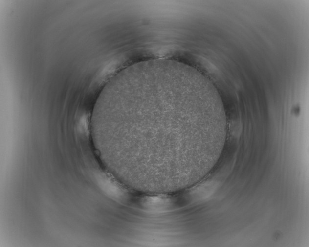 X0000090410286200707272056