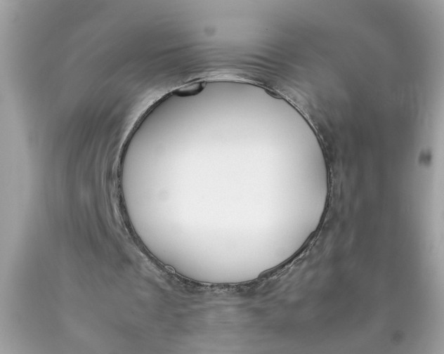 X0000090410289200707272055