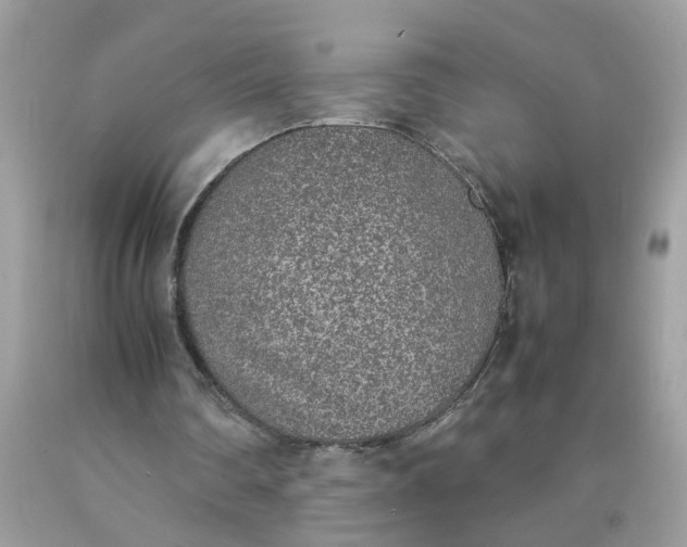 X0000090410290200707272055