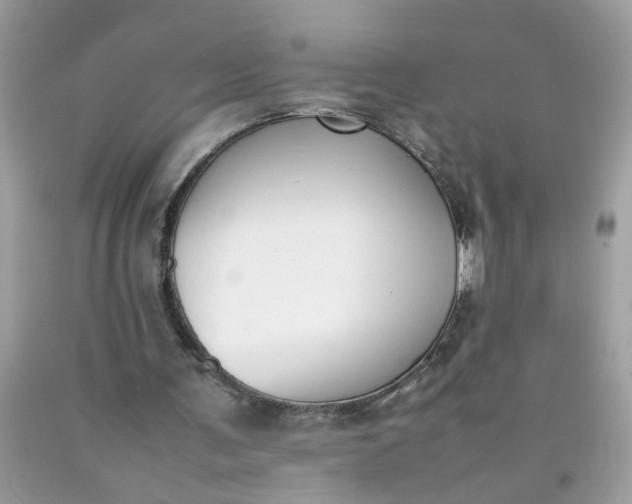 X0000090410291200707272055