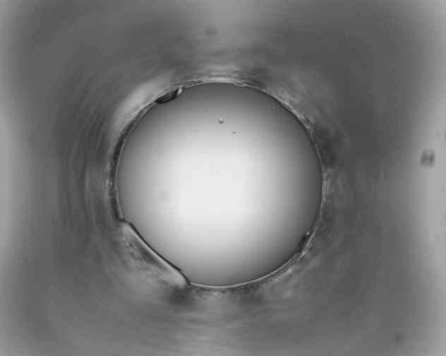 X0000090410293200707272055